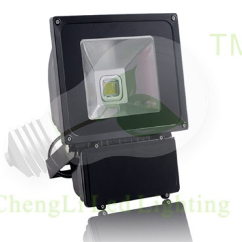 Led flood light